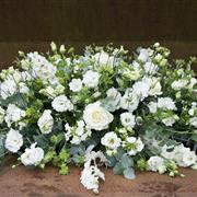 White &amp; Green Spray